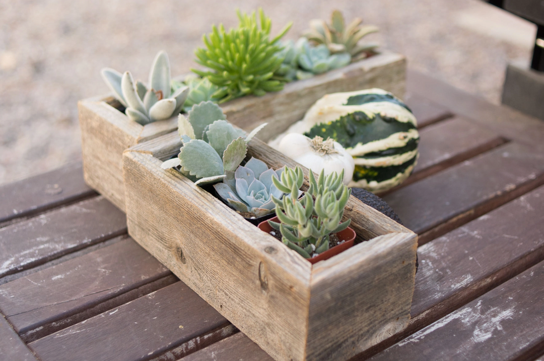 Reclaimed Wood Succulent Small Planter