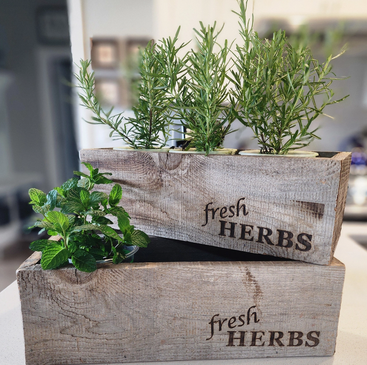 Reclaimed Wood Rustic Herb Planter