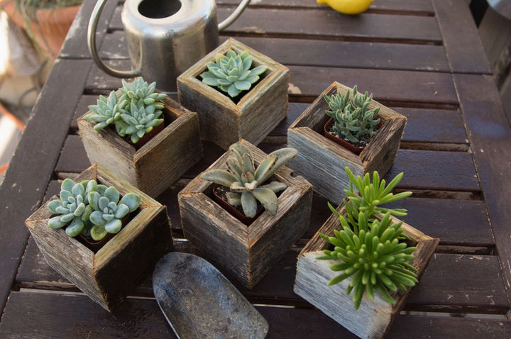 Reclaimed Wood Mini Square Planters