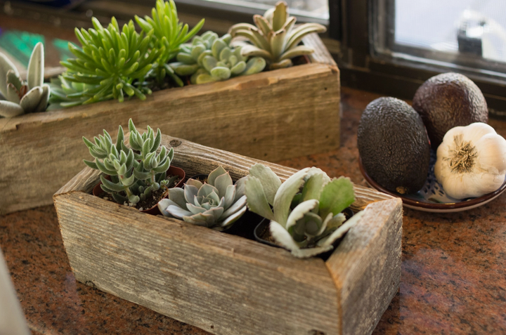 Reclaimed Wood Succulent Small Planter