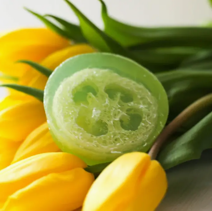 Soap - Eucalyptus Yuzu